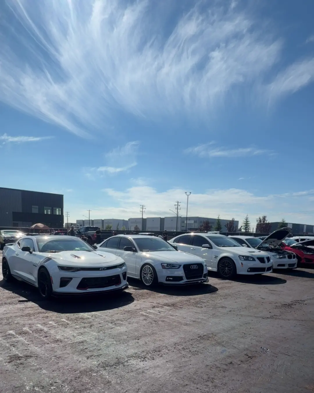 White Camaro, Audi, and BMW
