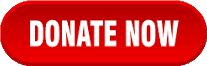 donate now button